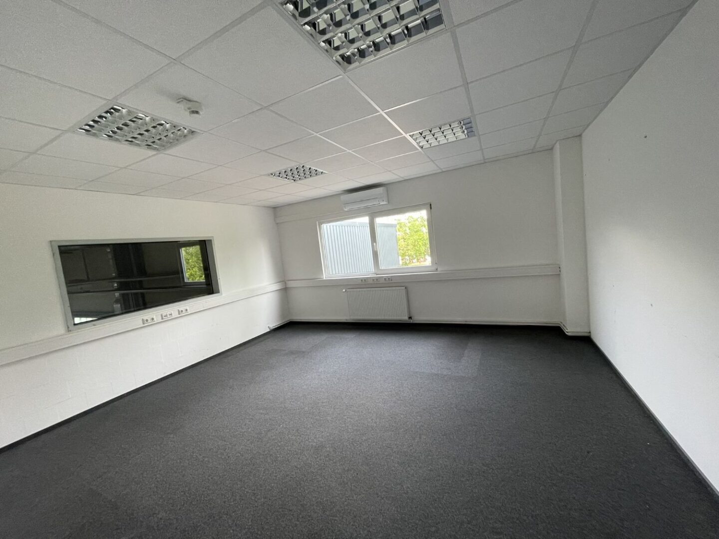 Büro  - Lütt Immobilien