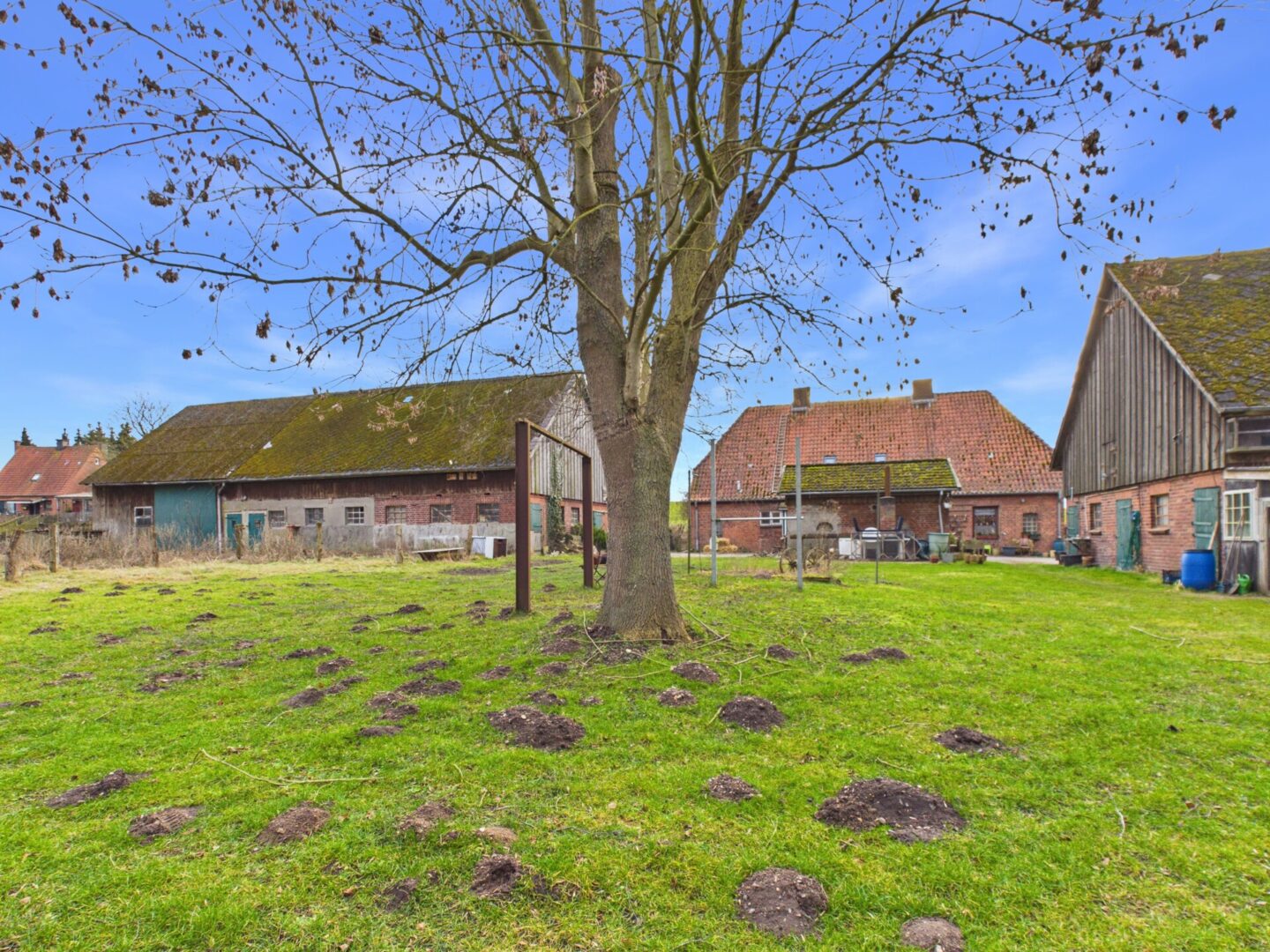 Rückwärtige Ansicht - Kossau - Lütt Immobilien