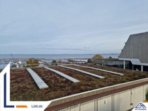 Lütt Immobilien (1).png