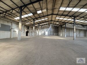 Halle 2500 m² innen (2).jpg
