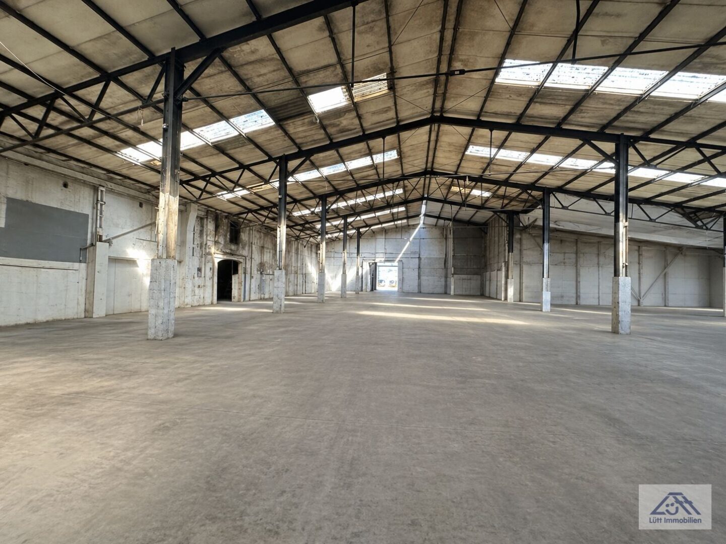 Halle 2500 m² innen (2).jpg
