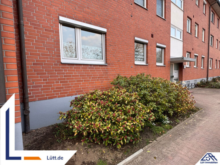 Lütt Immobilien.png