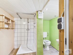 Duschbad mit WC im Keller