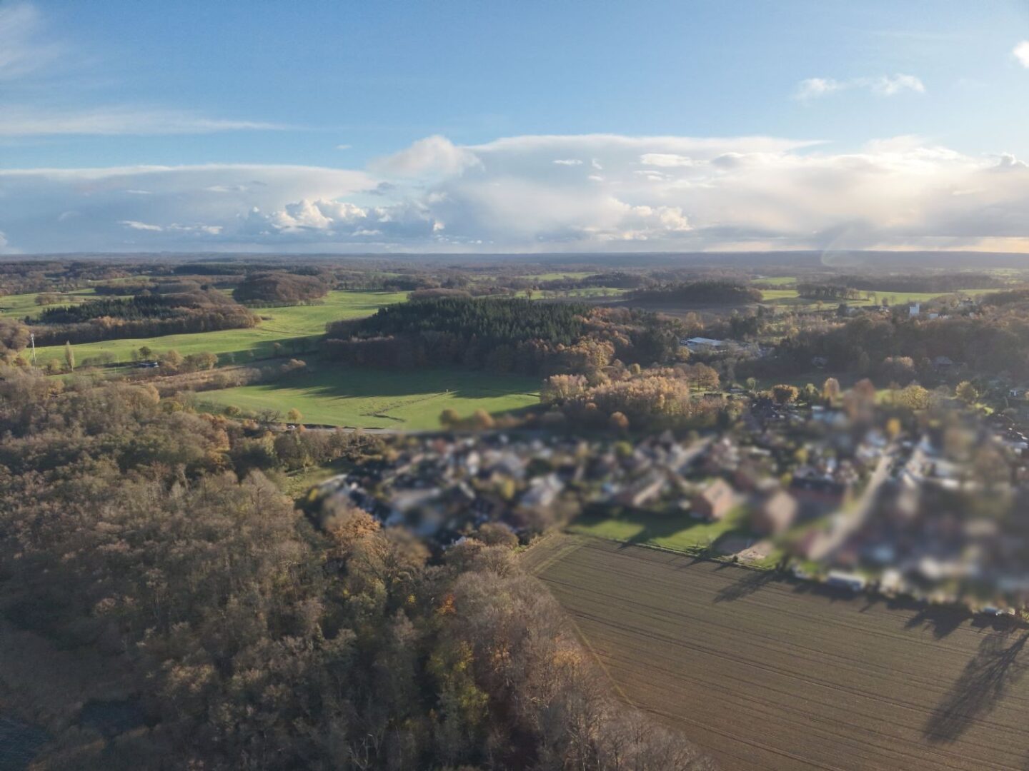 Feld - Lütt Immobilien - Selent