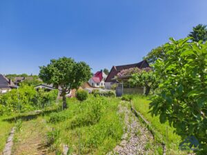 Garten - Lütt Immobilien - Kiel