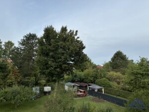 Garten Übersicht  - Lütt Immobilien - Kiel
